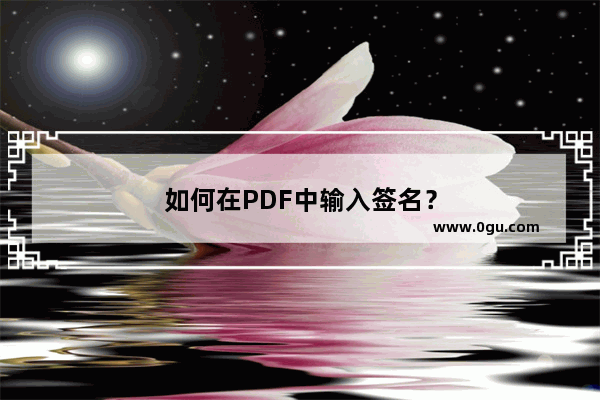 如何在PDF中输入签名？