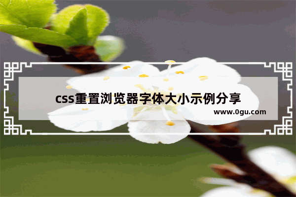 css重置浏览器字体大小示例分享