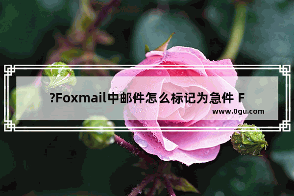 ?Foxmail中邮件怎么标记为急件 Foxmail邮箱中标记邮件重要性的方法教程