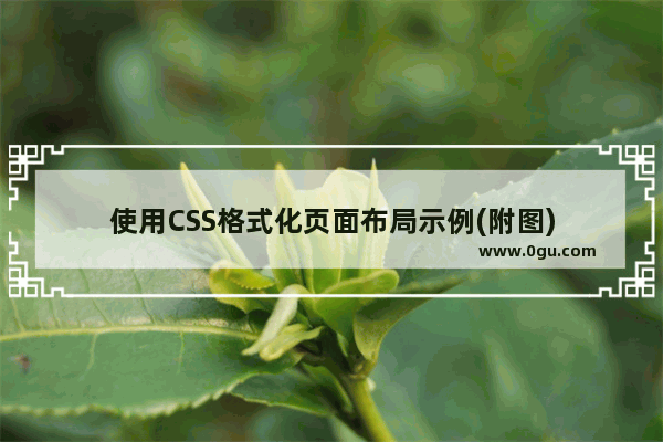 使用CSS格式化页面布局示例(附图)