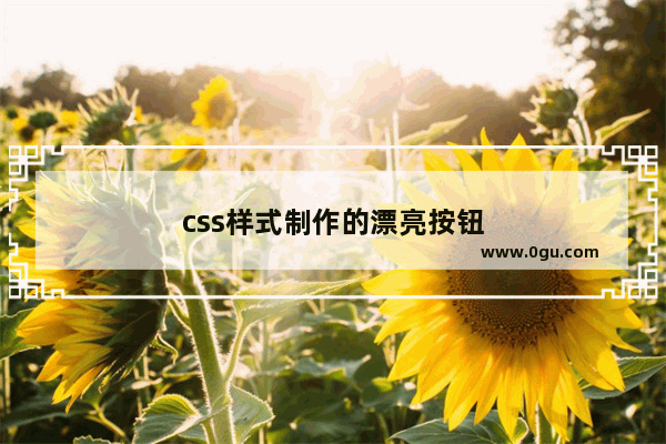 css样式制作的漂亮按钮