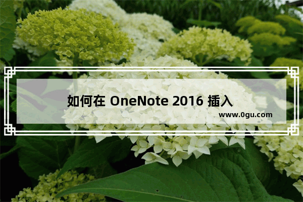 如何在 OneNote 2016 插入 PDF 的打印样式，同步到 Ipad 后变模糊