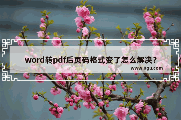 word转pdf后页码格式变了怎么解决？