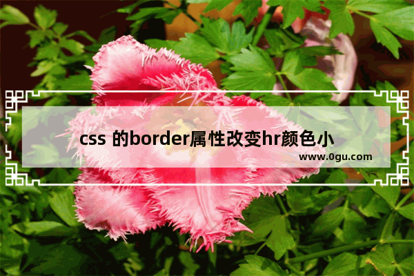 css 的border属性改变hr颜色小示例