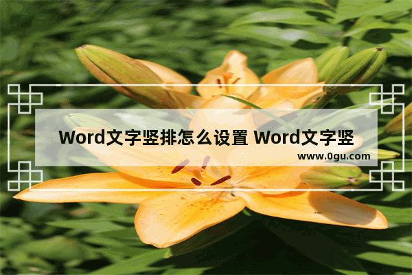 Word文字竖排怎么设置 Word文字竖排的方法