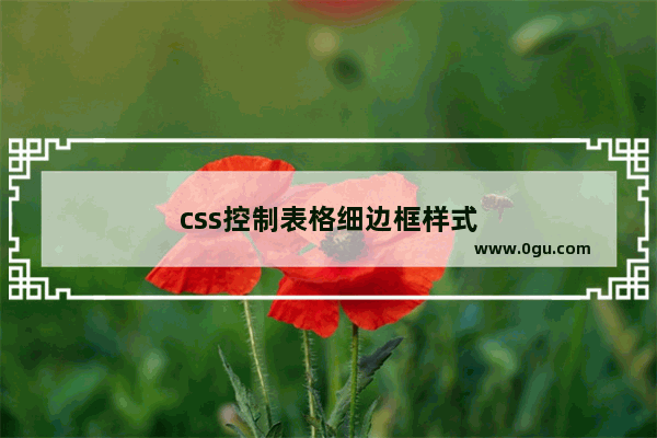 css控制表格细边框样式