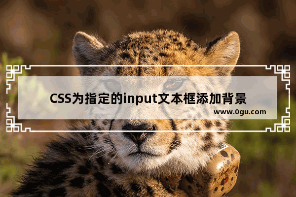 CSS为指定的input文本框添加背景