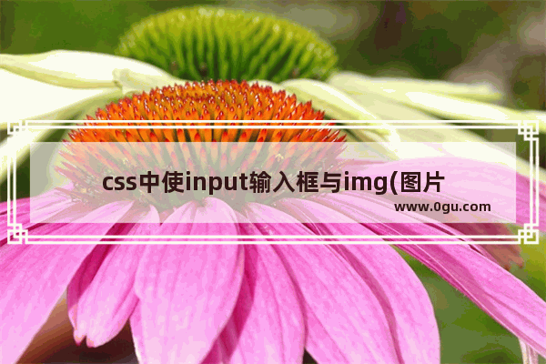 css中使input输入框与img(图片)在同一行居中对齐