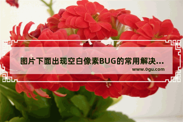 图片下面出现空白像素BUG的常用解决方法归纳