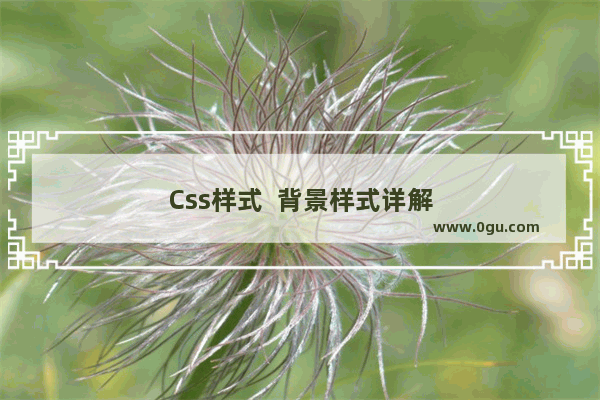 Css样式  背景样式详解