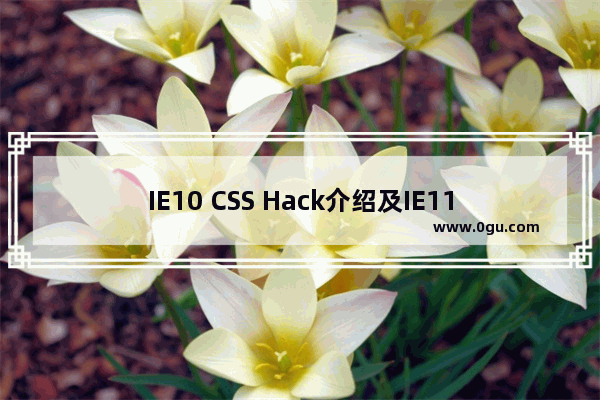 IE10 CSS Hack介绍及IE11的CSS Hack提前了解