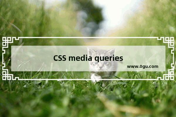 CSS media queries