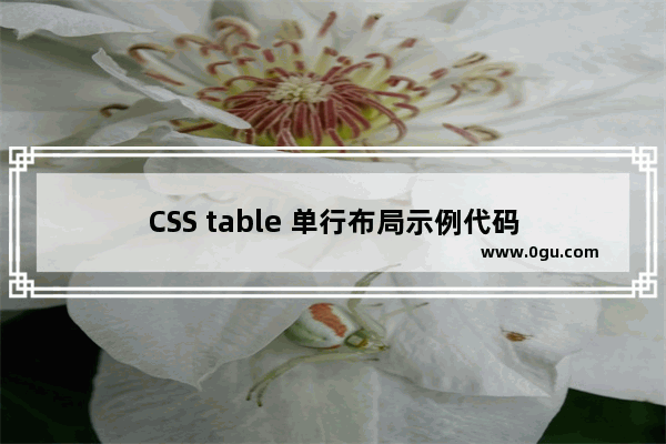 CSS table 单行布局示例代码