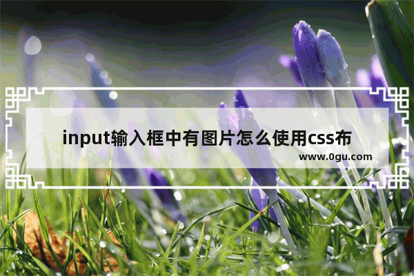 input输入框中有图片怎么使用css布局实现