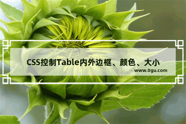 CSS控制Table内外边框、颜色、大小示例