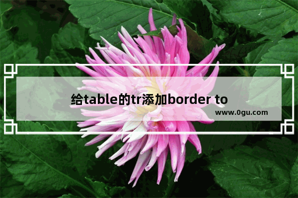 给table的tr添加border top时没有效果的解决方法