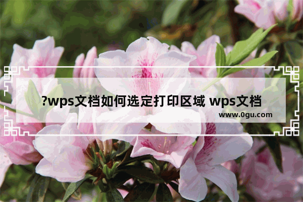 ?wps文档如何选定打印区域 wps文档设置打印范围的方法