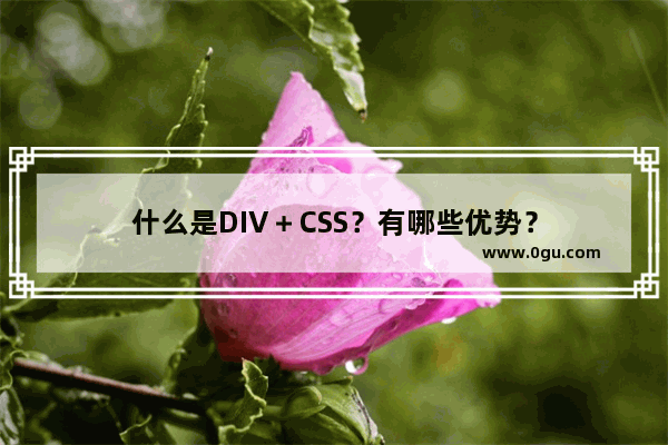 什么是DIV＋CSS？有哪些优势？