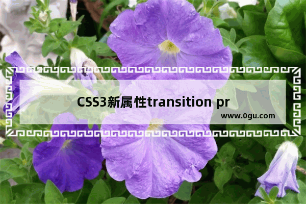 CSS3新属性transition property transform box shadow实例学习