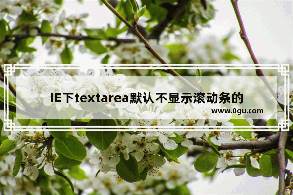 IE下textarea默认不显示滚动条的实现代码