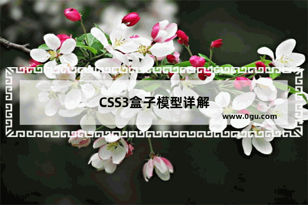 CSS3盒子模型详解