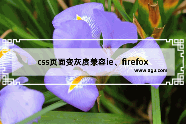 css页面变灰度兼容ie、firefox、chrome、opera、safari实现样式