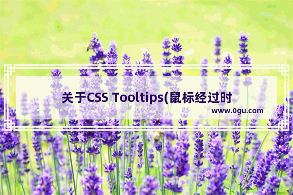 关于CSS Tooltips(鼠标经过时显示)的效果