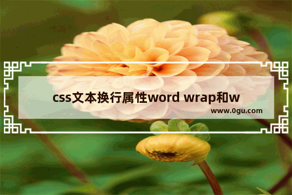 css文本换行属性word wrap和white space使用总结