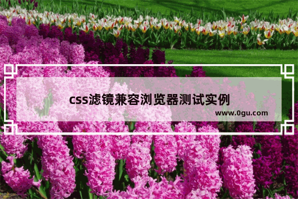 css滤镜兼容浏览器测试实例