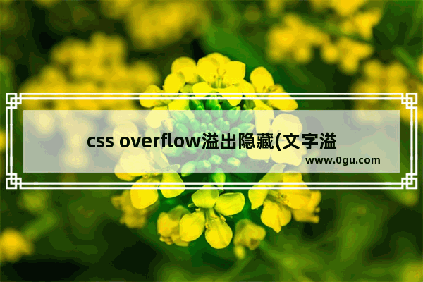 css overflow溢出隐藏(文字溢出时的自动隐藏处理)