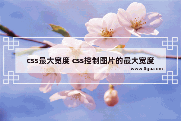 css最大宽度 css控制图片的最大宽度及expression学习