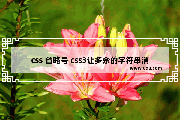 css 省略号 css3让多余的字符串消失并附加省略号的实现代码