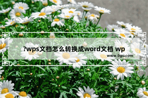 ?wps文档怎么转换成word文档 wps文档转换成word格式的方法