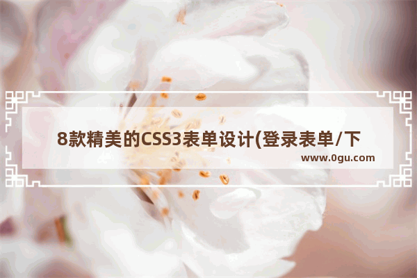 8款精美的CSS3表单设计(登录表单/下拉选择/按钮附演示及源码)