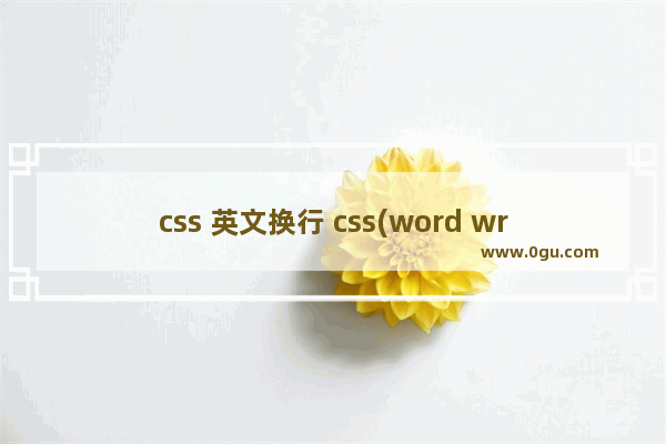 css 英文换行 css(word wrap/break)使纯英文数字自动换行