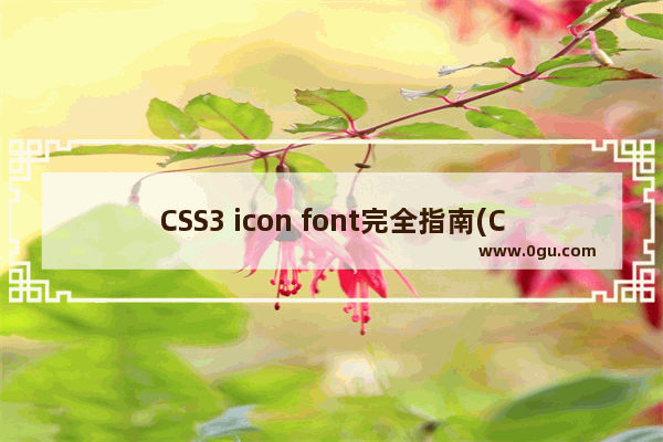 CSS3 icon font完全指南(CSS3 font 会取代icon图标)