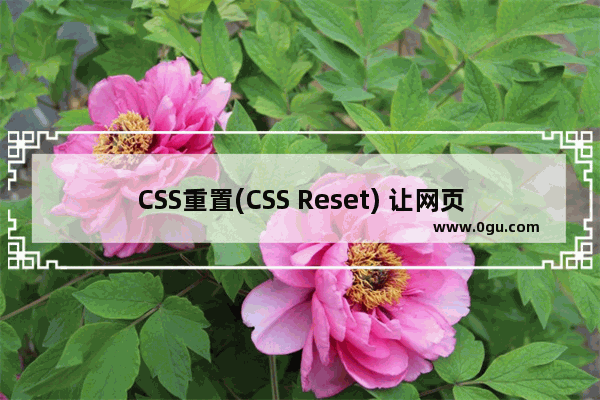 CSS重置(CSS Reset) 让网页样式在各浏览器中表现一致