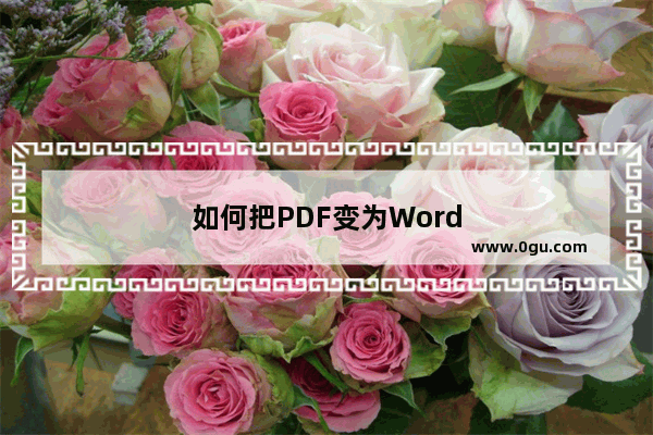 如何把PDF变为Word