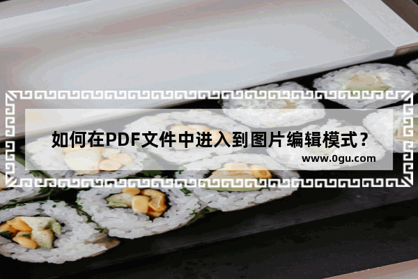 如何在PDF文件中进入到图片编辑模式？