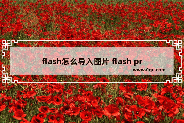 flash怎么导入图片 flash professional导入图片的方法