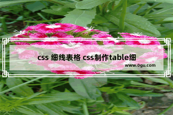 css 细线表格 css制作table细线表格常用属性