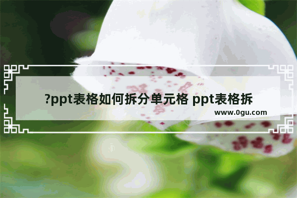 ?ppt表格如何拆分单元格 ppt表格拆分单元格的方法