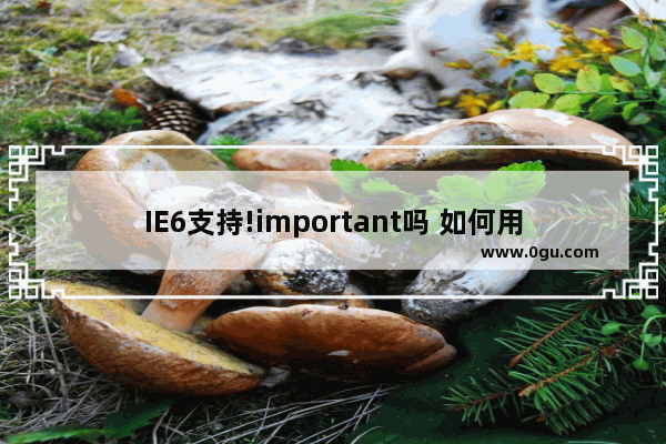 IE6支持!important吗 如何用!important解决浏览器兼容性问题