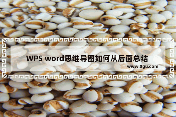 WPS word思维导图如何从后面总结 WPS Word思维导图进行汇总的方法