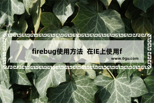 firebug使用方法  在IE上使用firebug的技巧图文介绍