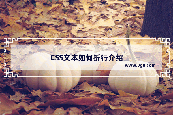 CSS文本如何折行介绍