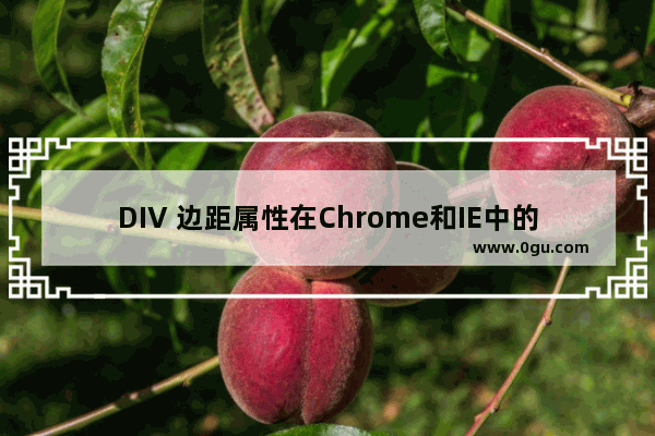 DIV 边距属性在Chrome和IE中的区别深入理解