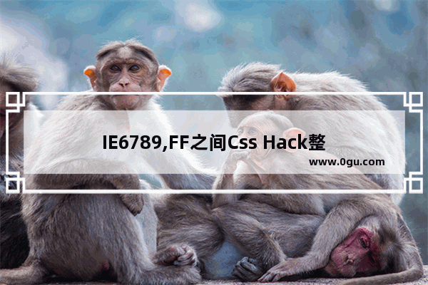 IE6789,FF之间Css Hack整理