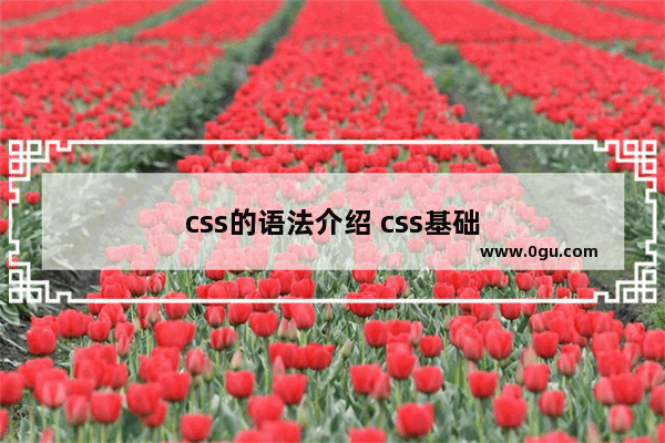 css的语法介绍 css基础