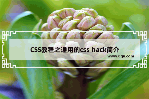 CSS教程之通用的css hack简介